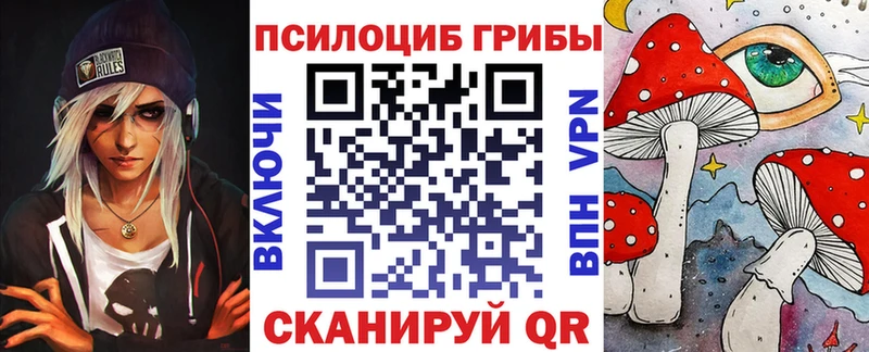 Псилоцибиновые грибы мицелий хочу наркоту Дубна